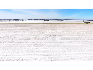 Property photo 34 - OHIO REAL ESTATE AUCTION - 202+/- ACRES IN 3 TRACTS IN VAN WERT COUNTY, OHIO